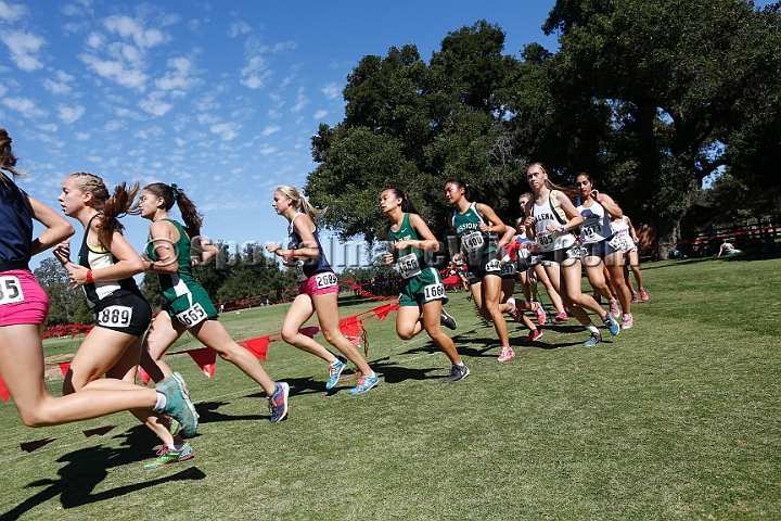 2015SIxcHSD1-174.JPG - 2015 Stanford Cross Country Invitational, September 26, Stanford Golf Course, Stanford, California.